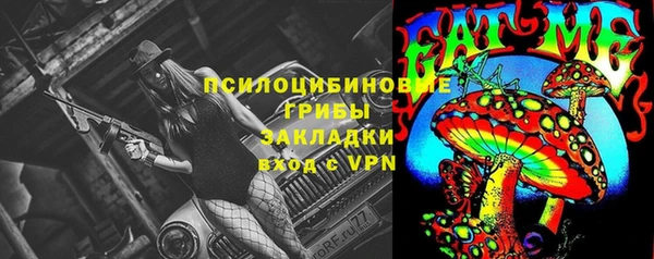 PSILOCYBIN Богданович