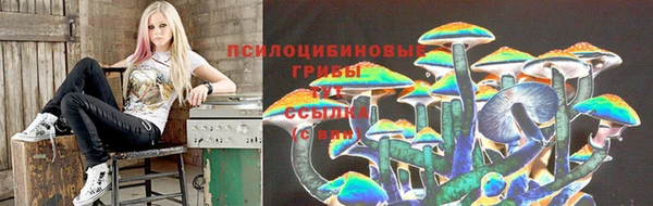 PSILOCYBIN Богданович