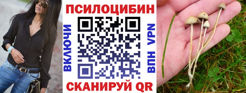 купить закладку  Кореновск  Галлюциногенные грибы Psilocybe 